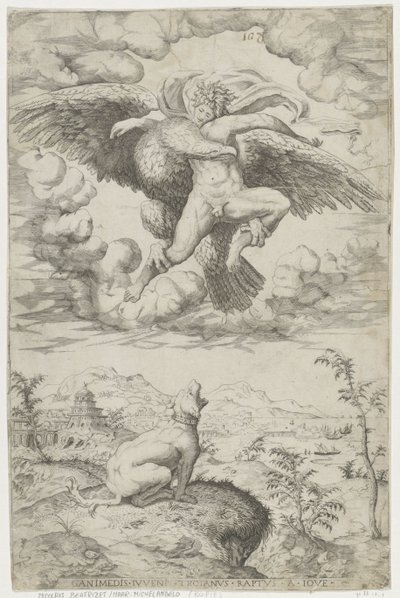 Abduction of Ganymede by Anonymous