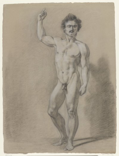 Standing Male Nude, Front View by Anonymous