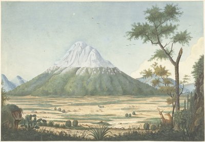 Tropical Landscape with Mountains by Anonymous