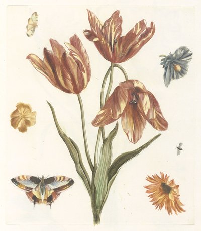 Tulips, Other Flowers, Butterflies, and a Fly by Anonymous