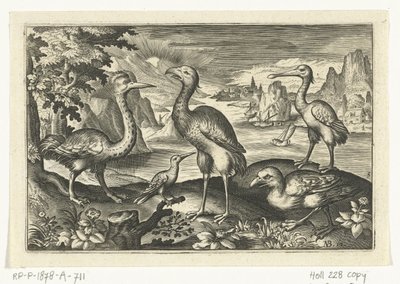 Five Birds Including Spoonbill (Birds and Insects) by Anonymous