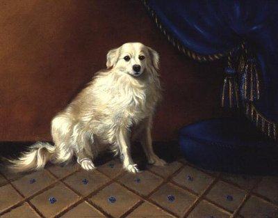 A Toy Dog by Anonymous Anonymous