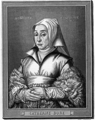 Portrait of Katharina von Bora by Anonymous Anonymous