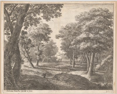 A Path Through the Woods by Anthonie Waterloo