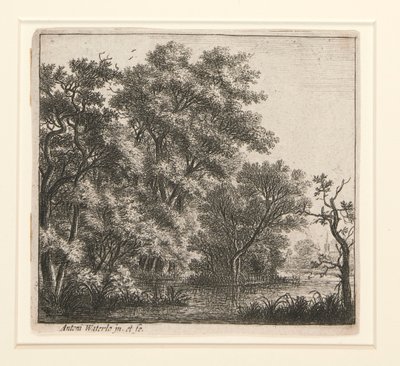 The Wooded Island by Anthonie Waterloo