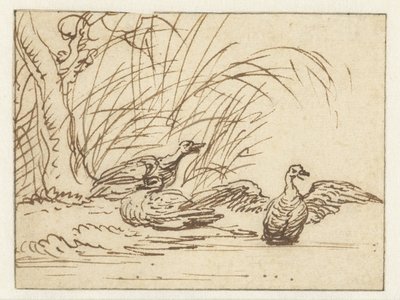 Three ducks by the waterside by Anthonie van Borssom