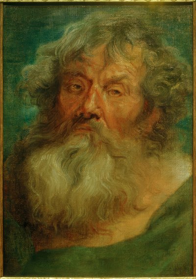 Head of an Old Man by Anthony van Dyck