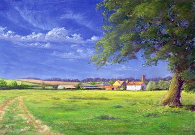 Home Field by Anthony Rule