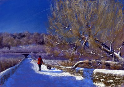 Winter Walk by Anthony Rule