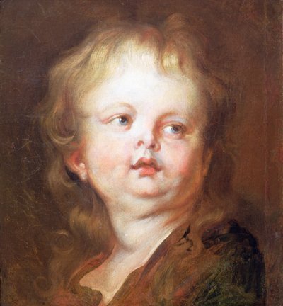 Head of a Boy by Anthony van Dyck