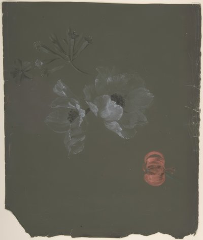 Floral Design by Antoine Berjon