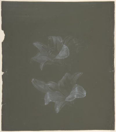 Floral Design by Antoine Berjon