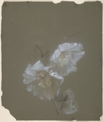 Floral Design by Antoine Berjon