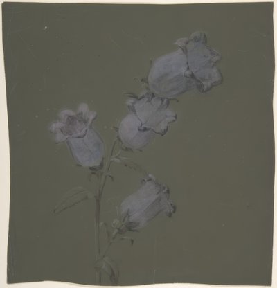 Spray of Canterbury Bells by Antoine Berjon