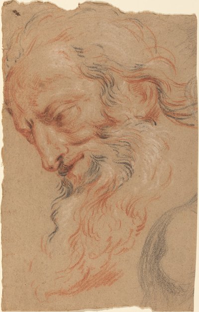 Head of an Old Man by Antoine Coypel