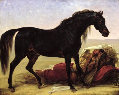 An Arabian Horse by Antoine Jean Gros