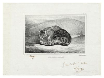 Study of Cats by Antoine Louis Barye