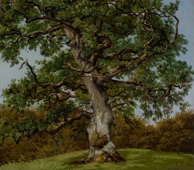 Study of an Ancient Oak Tree by Anton Eduard Kieldrup