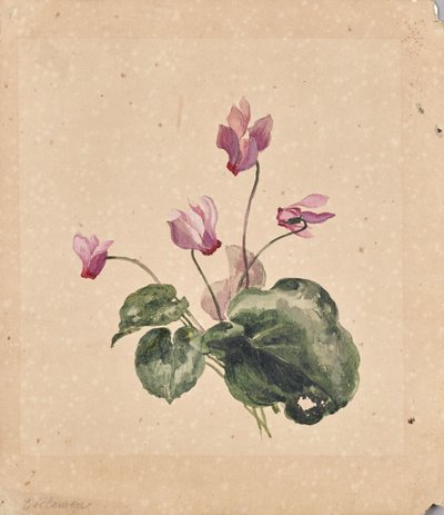 Cyclamen by Anton Hartinger