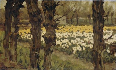 Tulip Fields by Anton L. Koster