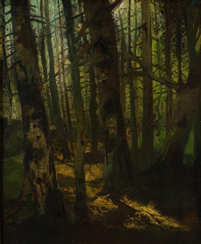 Forest Clearing by Anton Müller Wischin