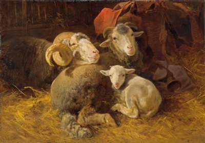 Sheep in the Stable by Anton Schrodl