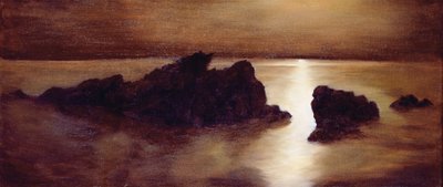 Moonlight by Antonia Myatt