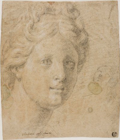 Head of a Woman by Antonio Balestra