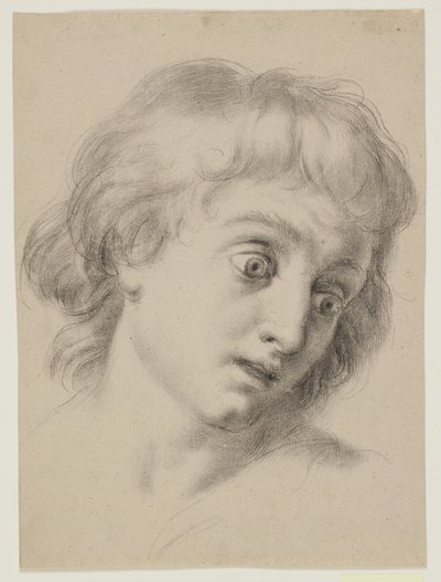 Head of a Boy by Antonio Cavallucci