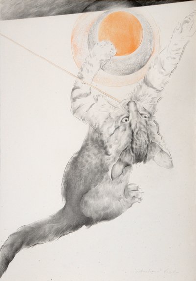 Unknown Image by Antonio Ciccone