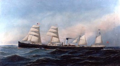 The Steam and Sail Ship 