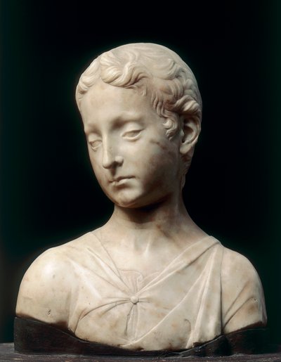 Bust of a Young Boy by Antonio Rossellino
