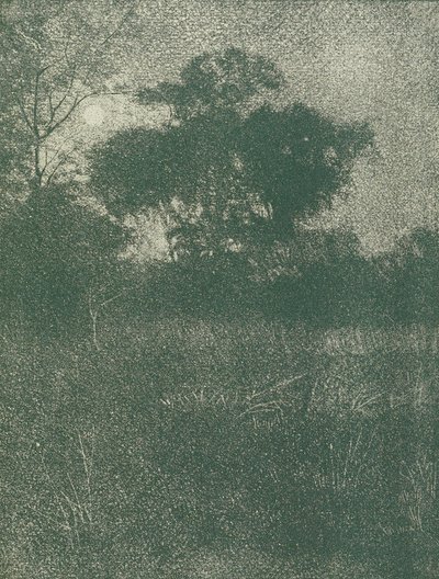 Moonlight by Arthur E. Becher