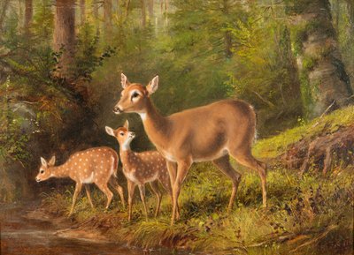 A Doe and Two Fawns by Arthur Fitzwilliam Tait