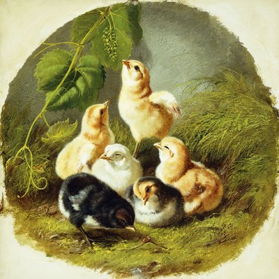 Chicks by Arthur Fitzwilliam Tait
