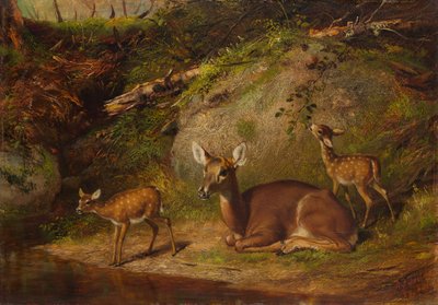 Doe and Two Fawns by Arthur Fitzwilliam Tait