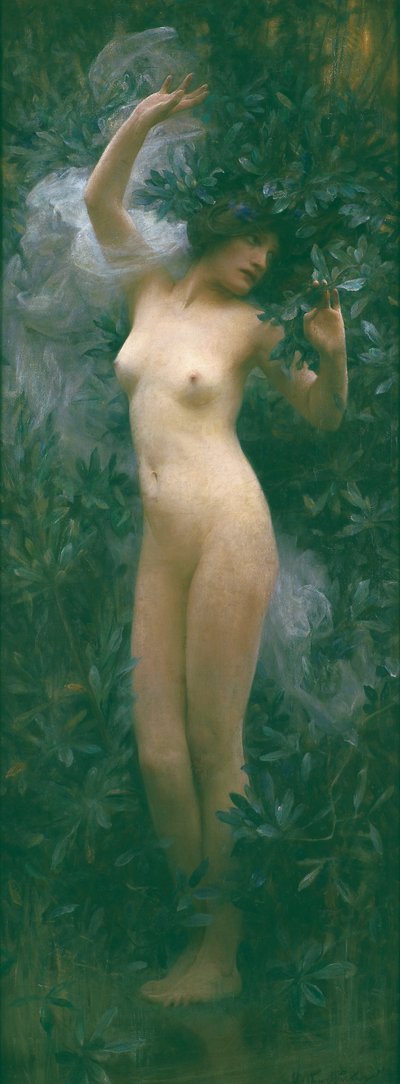 Daphne, c.1890 by Arthur Hacker