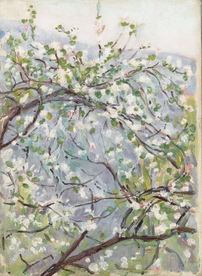 Blossom by Arthur Haythorne Studd