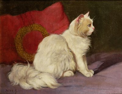 White Persian Cat by Arthur Heyer