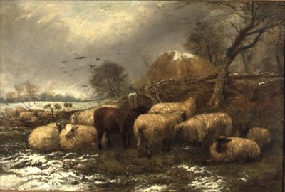 Shelter by Arthur J. Stark