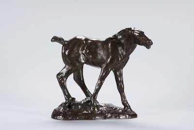 Colt by Arthur Putnam