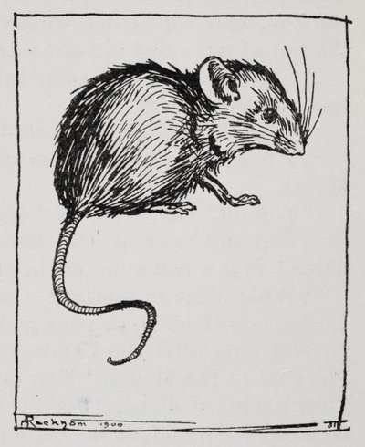 A mouse by Arthur Rackham
