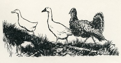 Henny-Penny by Arthur Rackham