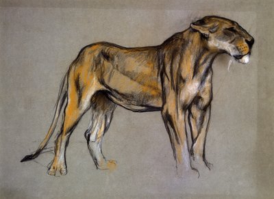 A Lioness, c.1900 by Arthur Wardle