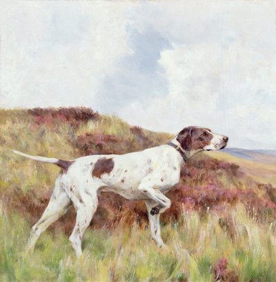 A Pointer by Arthur Wardle