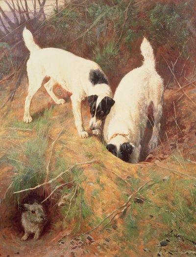 Anyone at Home? by Arthur Wardle