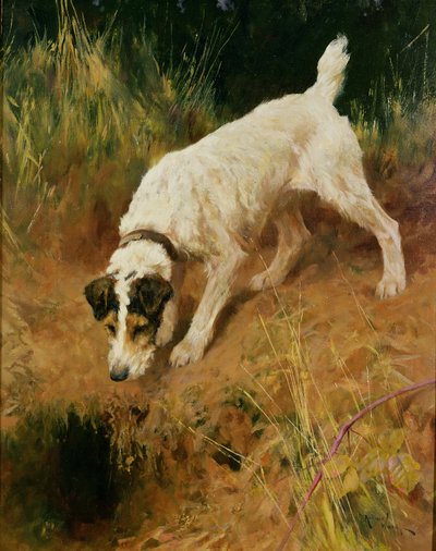 Fox Terrier by Arthur Wardle