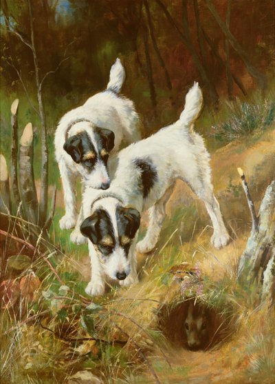 Terriers Rabbiting by Arthur Wardle