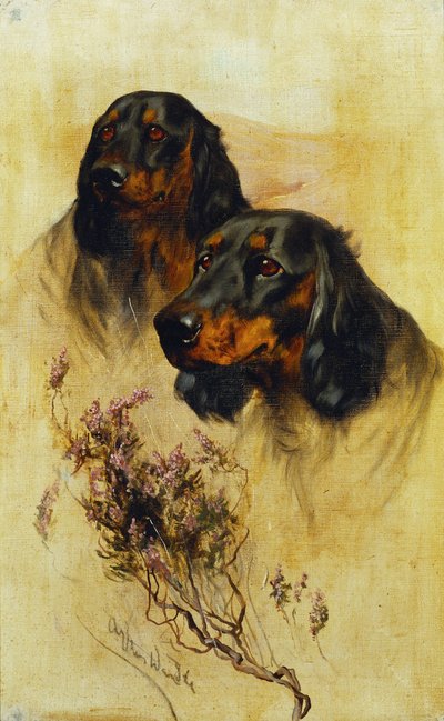 Two Gordon Setters by Arthur Wardle