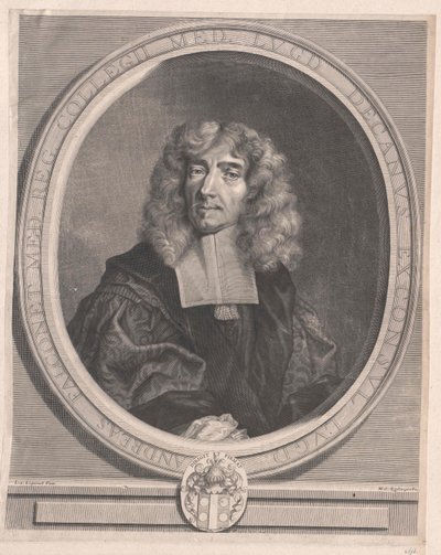 Andre Falconet by Artist Unknown